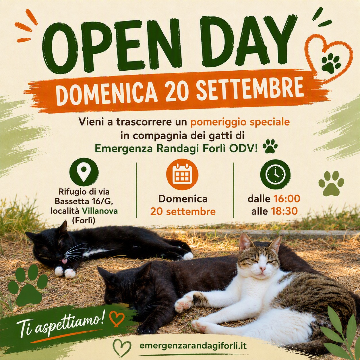 Home ✨ OPEN DAY – DOMENICA 20 SETTEMBRE ✨
Vuoi scoprire come puoi fare la differenza nella vita di tanti gatti in difficoltà? 🐾
Ti aspettiamo all'Open Day di Emergenza Randagi Forlì ODV per conoscere da vicino il nostro rifugio, incontrare i volontari e scoprire come nasce ogni giorno il lavoro di cura, accoglienza e assistenza che svolgiamo per i nostri mici.
📍 Dove: Rifugio di via Bassetta 16/G, località Villanova (Forlì)
📅 Quando: Domenica 20 settembre
⏰ Orario: dalle 16:00 alle 18:30
Durante il pomeriggio potrai:
🤝 Scoprire il mondo del volontariato e come puoi aiutarci concretamente
🐱 Conoscere i gatti ospiti del rifugio e le loro storie
📚 Partecipare alle letture per bambini 0-10 anni con "Dada Silvia" (Educatrice)
✨ Visitare i banchetti informativi e lo spazio dedicato ai prodotti handmade
🎶 Ascoltare musica dal vivo
❤️ Regalare e ricevere tante coccole feline
Che tu abbia qualche ora da dedicare ogni tanto o semplicemente la curiosità di conoscere la nostra realtà, questo è il momento giusto per venirci a trovare e scoprire quanto può essere prezioso il contributo di ogni volontario.
🐾 Ogni aiuto conta. Ogni volontario può fare la differenza.
📢 Segna la data e spargi la voce!
🌧 In caso di maltempo, l'evento sarà rimandato a data da destinarsi.