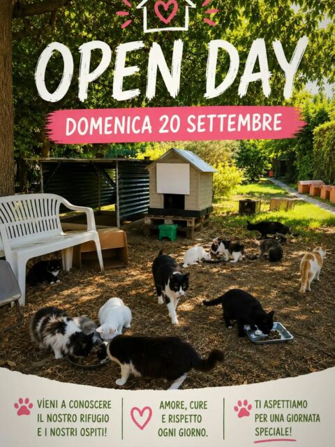 Home ✨ È OGGI! OPEN DAY – DOMENICA 20 SETTEMBRE ✨
🐾 Oggi ti aspettiamo al nostro Open Day! 🐾
Vuoi scoprire come puoi fare la differenza nella vita di tanti gatti in difficoltà? 🐱❤️
Ti aspettiamo all'Open Day di Emergenza Randagi Forlì ODV per conoscere le nostre attività, incontrare i volontari e scoprire come nasce ogni giorno il lavoro di cura, accoglienza e assistenza che svolgiamo per i mici randagi.
📍 Dove: Rifugio di via Bassetta 16/G, località Villanova (Forlì)
📅 Quando: Domenica 20 settembre
⏰ Orario: dalle 16:00 alle 18:30
Durante il pomeriggio potrai:
🤝 Scoprire il mondo del volontariato e come puoi aiutarci concretamente
🐱 Conoscere i gatti ospiti del rifugio e le loro storie
📚 Partecipare alle letture per bambini 0-10 anni con "Dada Silvia" (Educatrice)
✨ Visitare i banchetti informativi e lo spazio dedicato ai prodotti handmade
🎶 Ascoltare musica dal vivo
❤️ Regalare e ricevere tante coccole feline
Che tu abbia qualche ora da dedicare ogni tanto o semplicemente la curiosità di conoscere la nostra realtà, questo è il momento giusto per venirci a trovare e scoprire quanto può essere prezioso il contributo di ogni volontario.
🐾 Ogni aiuto conta. Ogni volontario può fare la differenza.
📢 È oggi: vi aspettiamo e spargete la voce! 🐱❤️