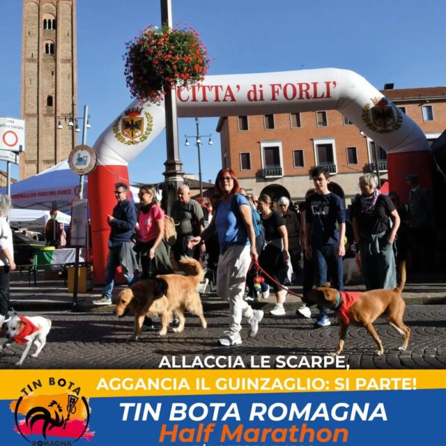 Home 🐾 TUTTI IN PIAZZA PER IL CANILE COMPRENSORIALE DI FORLÌ! 🐶❤️
Questo sabato vi aspettiamo per un appuntamento speciale all'insegna della solidarietà e dell'amore per gli animali: una bellissima camminata non agonistica in compagnia dei nostri amici a quattro zampe organizzata da @forlitrailasd ! 🐕
Anche noi di Emergenza Randagi Forlì ODV saremo presenti con un nostro banchetto informativo per fare due chiacchiere, conoscerci da vicino e sostenere a pieno questa bellissima iniziativa. Tutto il ricavato dell'evento andrà a favore del Canile diForlì!
✨ Una giornata speciale anche di dimostrazione e sensibilizzazione! Saranno presenti i cani delle Forze dell'Ordine, delle unità cinofile di soccorso (dalla terraferma al soccorso in mare) e di tante altre realtà straordinarie che aiutano l'uomo ogni giorno, con dimostrazioni dal vivo da non perdere! 🐶🚁🚨
📌 PROGRAMMA e ORARI (SABATO):
🕒 Ore 15:30: Apertura iscrizioni in Piazza
🦮 Ore 16:30: Partenza della passeggiata
Sarà una camminata tranquilla, adatta a tutti e perfetta da vivere insieme ai propri cani per passare un pomeriggio all'aria aperta facendo del bene.
Sostenere chi si occupa degli animali in difficoltà sul nostro territorio è una missione che ci unisce tutti.
Passate a trovarci al banchetto e camminate insieme a noi! 📍❤️