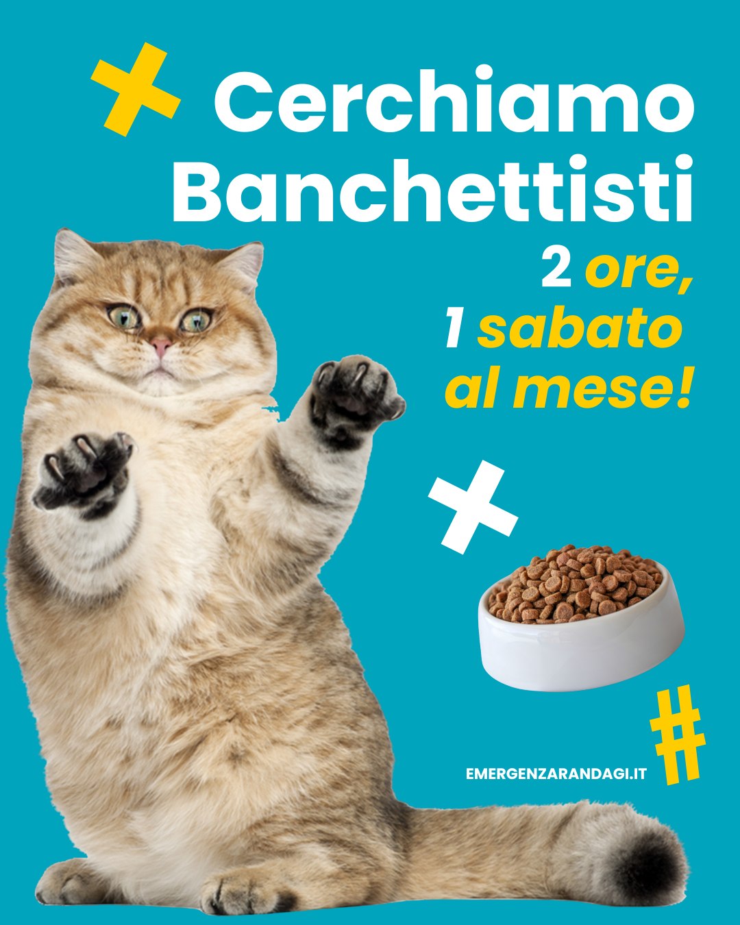 Ami gli animali 🐱💘 ma non puoi darci una mano in rifugio o nelle colonie feline?
Abbiamo il compito perfetto per te! 🙋‍♀️

Stiamo cercando volontari che ci affianchino durante le raccolte cibo: basta dedicare solo 2 ore, un sabato al mese.
Il tuo aiuto sarà prezioso per riempire le loro ciotole e fare davvero la differenza! ❤️

Per maggiori informazioni 📩 scrivici su WhatsApp al 334 776 9400.
Grazie di cuore! 🙏🐾