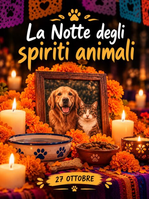 Home 🌙🐾 27 OTTOBRE – LA NOTTE DEGLI SPIRITI ANIMALI 🐾🌙
Secondo una leggenda legata al Día de los Muertos, la tradizionale celebrazione messicana dedicata al ricordo dei defunti, il 27 ottobre sarebbe il giorno in cui gli animali che non ci sono più tornano simbolicamente a far visita a chi li ha amati. ❤️
Si racconta che, in questa notte speciale, le loro anime ritrovino la strada di casa, tornando da chi ha donato loro amore, cure e protezione. Come se, per un momento, quella distanza che ci separa potesse diventare più piccola e il loro ricordo tornasse a farsi presenza. 🌈✨
Una leggenda che ci ricorda quanto sia profondo il legame che ci unisce a loro, un legame che va oltre il tempo, che resiste all’assenza e che continua a vivere nei gesti, nei ricordi e nell’amore che portiamo dentro di noi. ❤️
🐈⬛ A tutti i mici e a tutti gli animali che non sono più accanto a noi: non importa quanto tempo sia passato da quell’addio. Una parte di voi resterà per sempre con noi.
Oggi il nostro pensiero va anche a tutti quei gatti randagi che hanno vissuto nell’indifferenza, affrontando la strada senza la sicurezza di una casa. Perché ogni vita ha valore, ogni creatura merita rispetto e nessuno dovrebbe essere dimenticato. 🐾💔
🌙 A chi non c’è più, ma continua a essere parte della nostra storia. Vi ricordiamo, vi portiamo nel cuore e continueremo a parlare di voi. Sempre. ❤️🐾
#27Ottobre #NotteDegliSpiritiAnimali #DiaDeLosMuertos #AmoreSenzaFine #OgniVitaConta